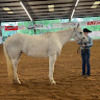 kristin_cothren